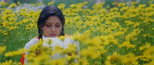 Chandni-1989-Hindi-www.moviespapa.vu-1080p-WEB-DL.mkv_snapshot_00.28.47.476.jpg