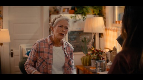 The-Wrong-Paris-2025-www.9kmovies.rip-Hindi-ORG-DD5.1--English-1080p-HDRip-2.7GB-ESub.mkv_snapshot_00.06.52.917.jpg