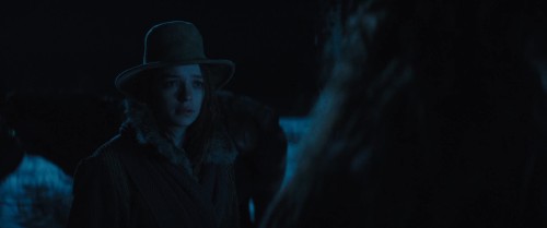 The-Thicket-2024-www.9kmovies.rip-Hindi-ORG-DD-5.1--English-1080p-BluRay-2.2GB.mkv_snapshot_00.21.03.375.jpg