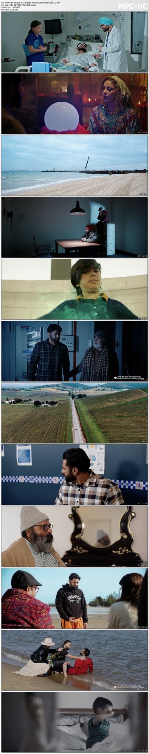 Mr-Shudai-2024-Punjabi-9kmaza.com-1080p-WEB-DL.mkv_thumbs.jpg