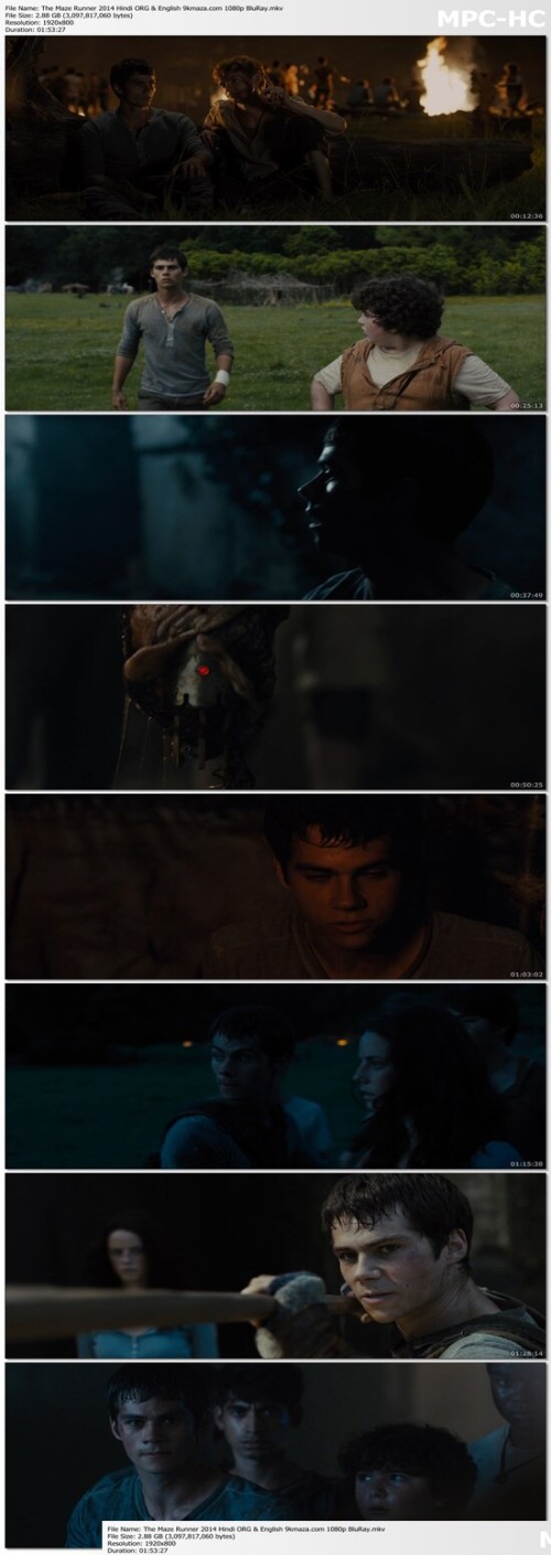 The-Maze-Runner-2014-Hindi-ORG--English-9kmaza.com-1080p-BluRay.jpg