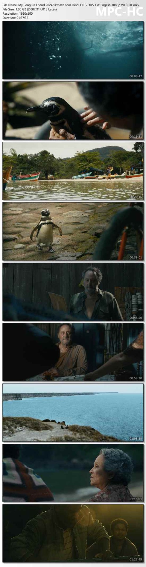 My-Penguin-Friend-2024-9kmaza.com-Hindi-ORG-DD5.1--English-1080p-WEB-DL.mkv_thumbs.jpg